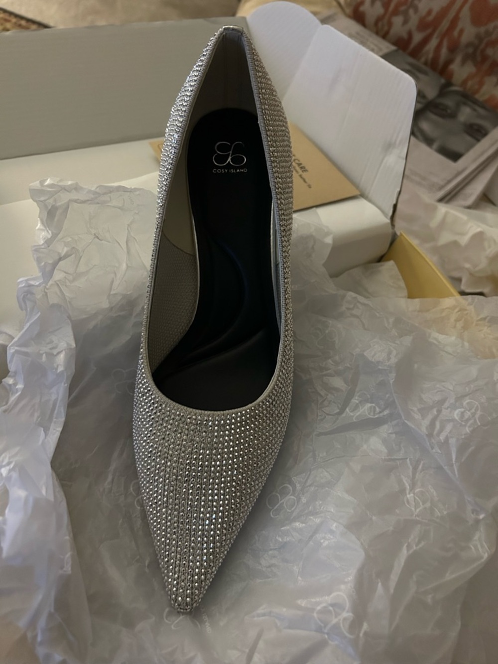 Cosy Island Silver Crystal-Embellished Pointed Toe Heel
